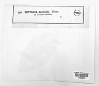 Image Associated With the Occurence